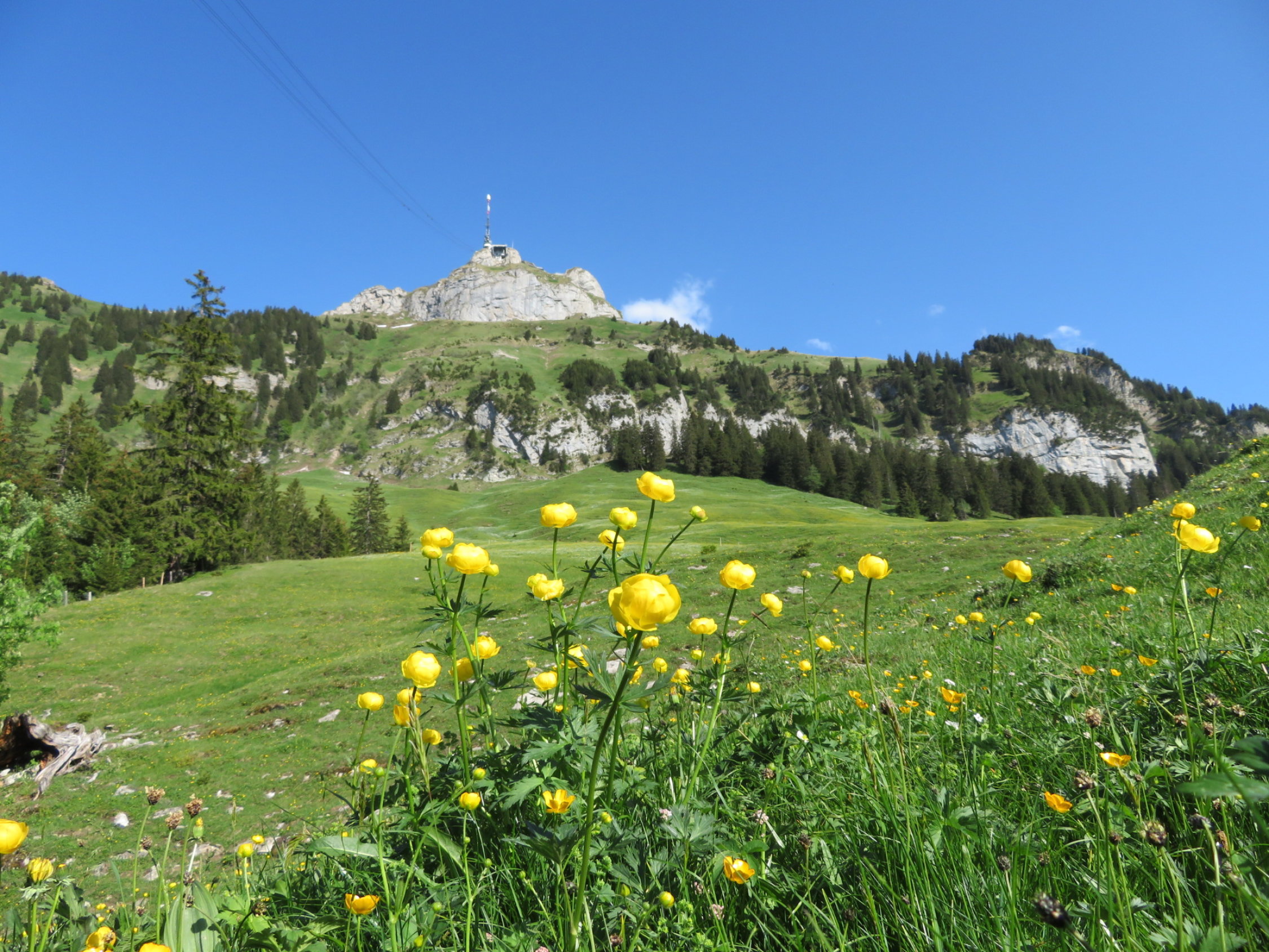 Stauberenkanzel 1861m 1861m Aktuelle Verhältnisse vom 07 06 2019